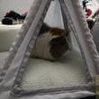 img-20221207-wa0007.jpg