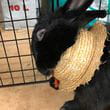 img-20200919-wa0012.jpg