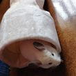img-20201007-112707-644.jpg