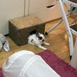 img-5654.jpg