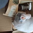 img-20241218-122624.jpg