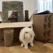 thumbnail-img-2408.jpg