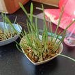 img-20250405-wa0050.jpg