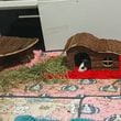 img-20250611-wa0001.jpg