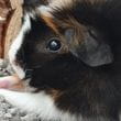 img-20250615-wa0002.jpg