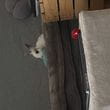 img-4260.jpg
