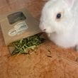 img-20250717-wa0006.jpg