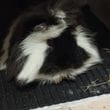 img-20250501-wa0009.jpg