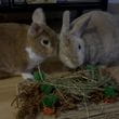 img-1903.jpg