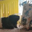 img-20251013-04584838.jpg