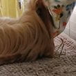 img-20251013-04591023.jpg