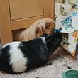 img-20251013-052911.jpg