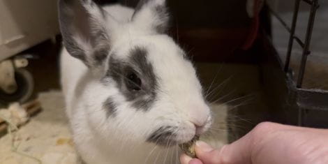 img-4309.jpg