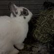 img-4335.jpg