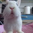 img-20260403-wa0000.jpg