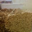 img-20260824-230600.jpg
