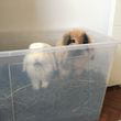 img-1188.jpg
